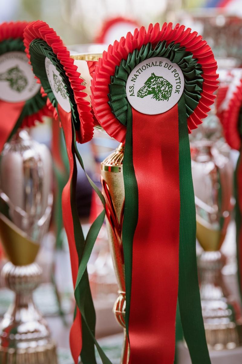 Réservation Restauration Concours étalon